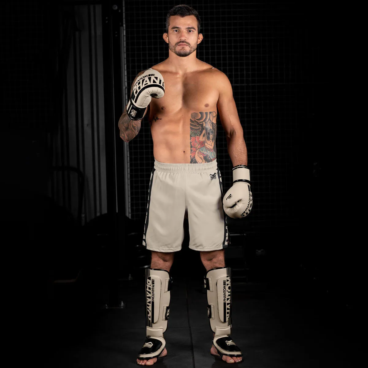 Boxhandschuhe APEX - Sand
