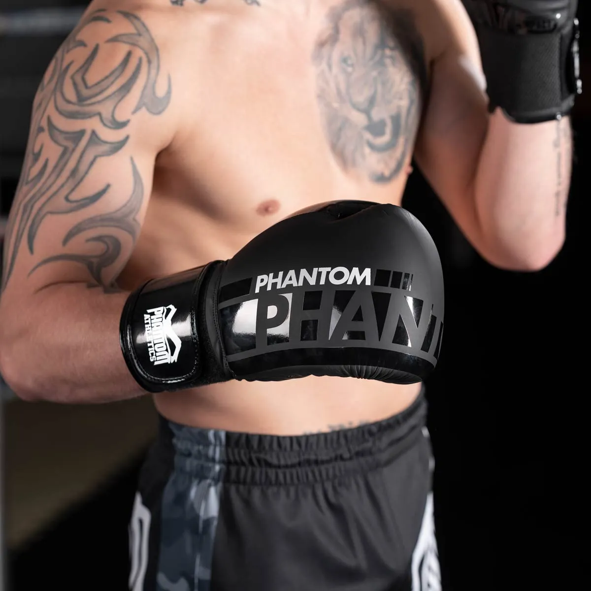 Boxhandschuhe APEX Speed