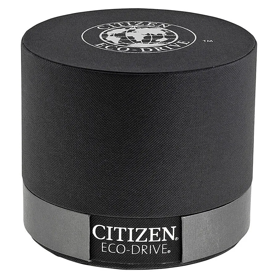 Citizen Eco-Drive Perpetual Calendar Chronograph Men's Watch BL5250-02L