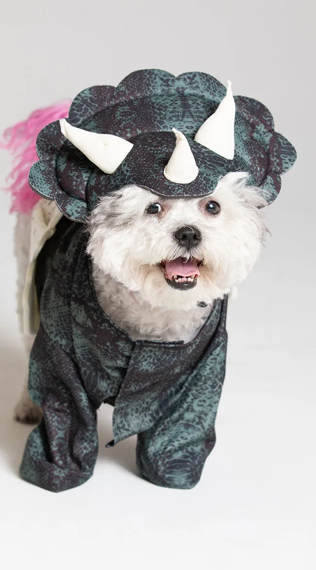 Dino Pup Dog Costume