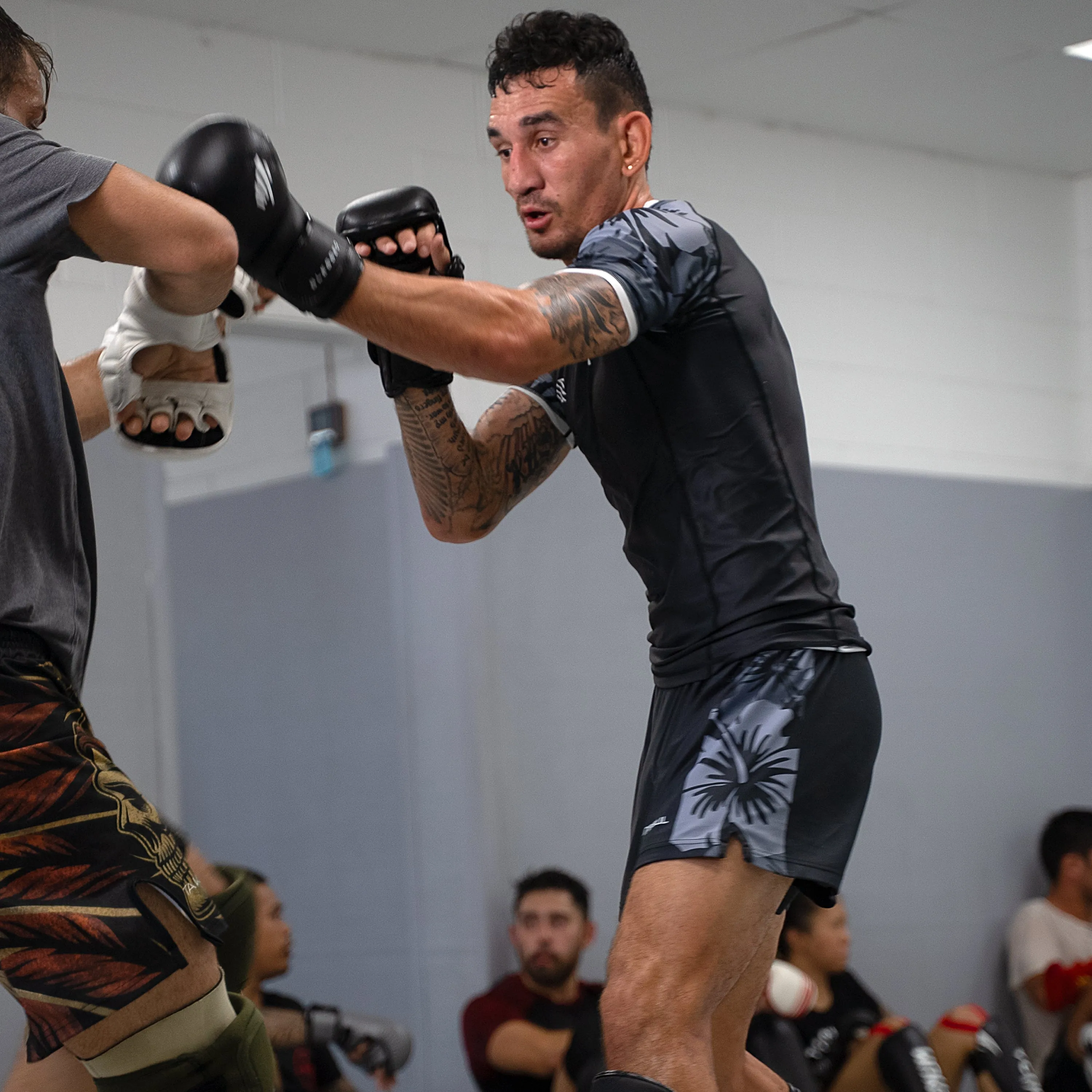 Max Holloway Aloha Roots Puffy Gloves