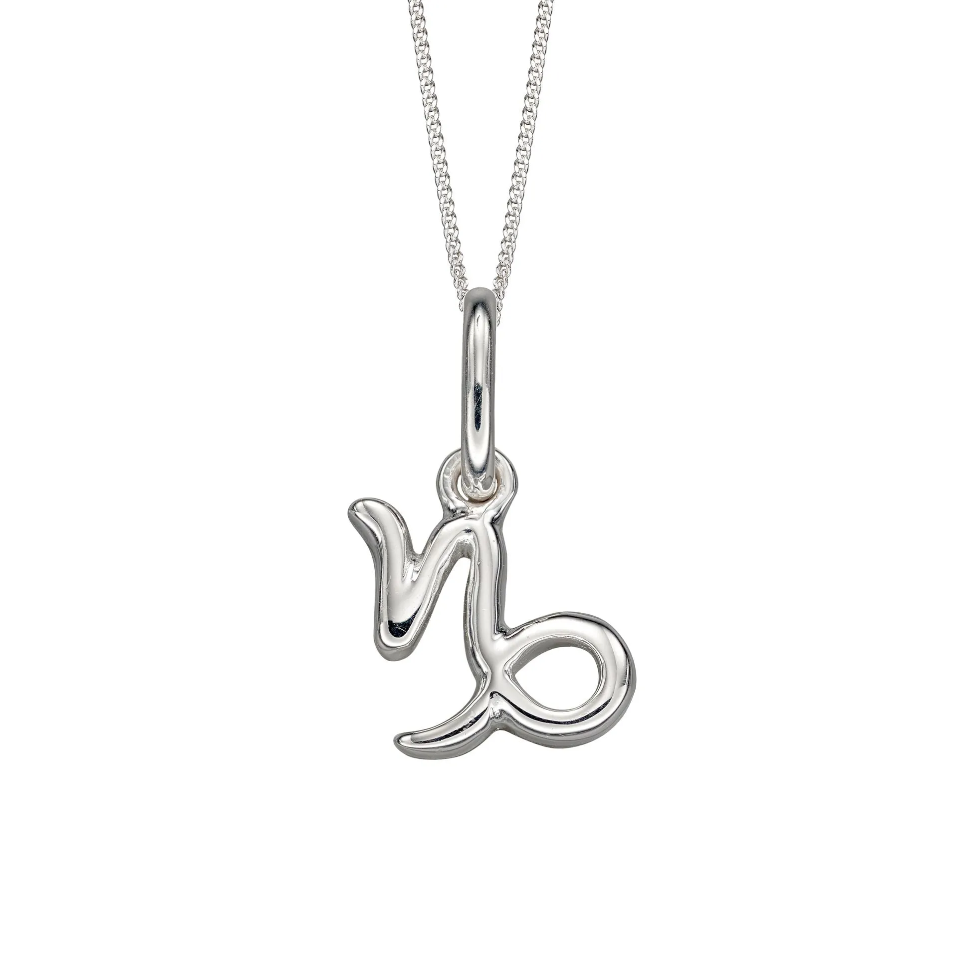 Sterling Silver Capricorn Zodiac Necklace