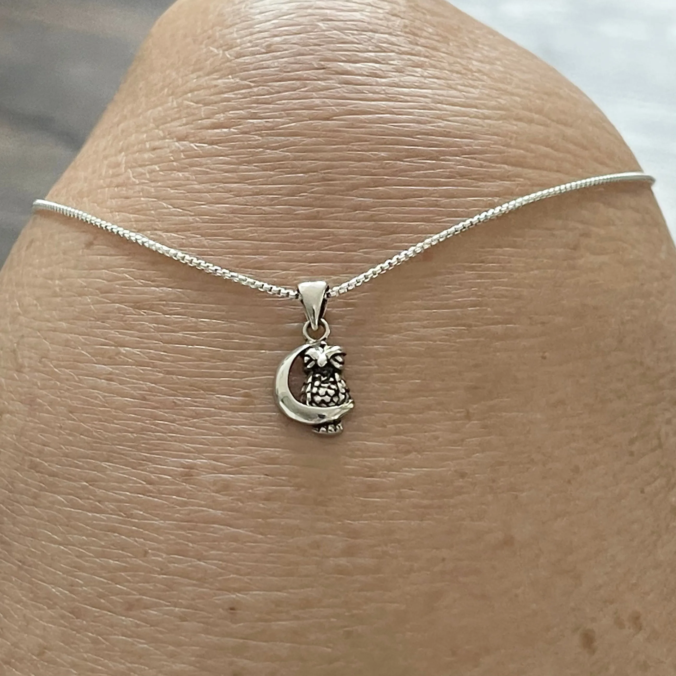 Sterling Silver Owl on the Moon Necklace, Silver Necklace, Owl Necklace, Religious Necklace