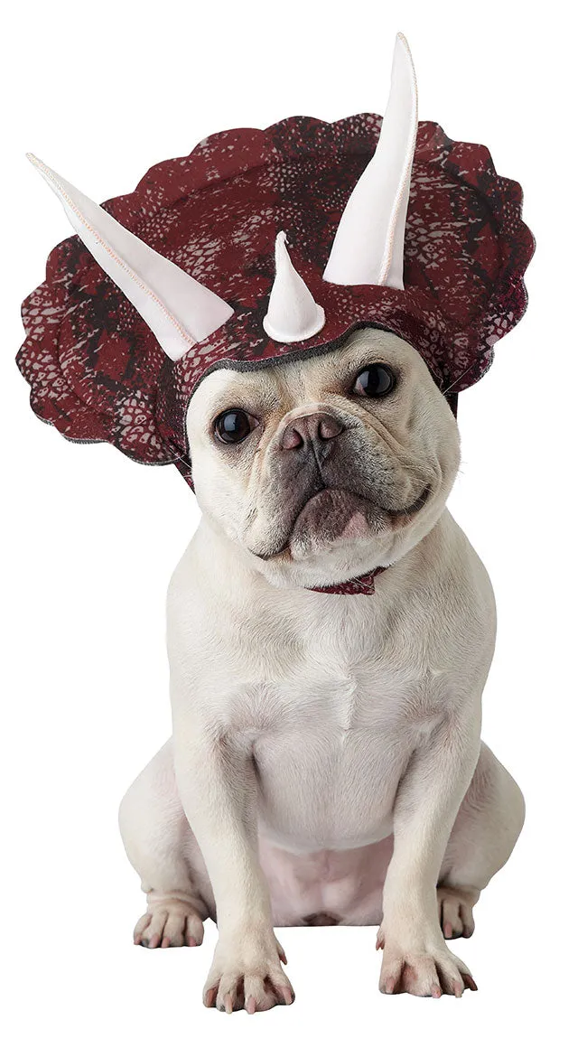 Triceradog Costume