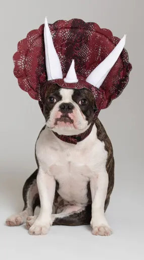Triceradog Costume