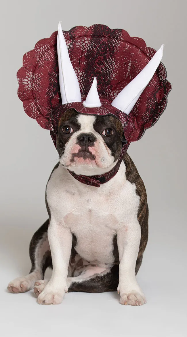 Triceradog Costume
