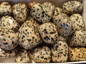 Tumbled - Dalmation Stone