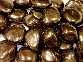 Tumbled  - Shungite