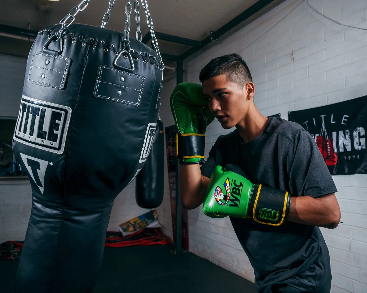 WBC by TITLE Boxing Training Gloves