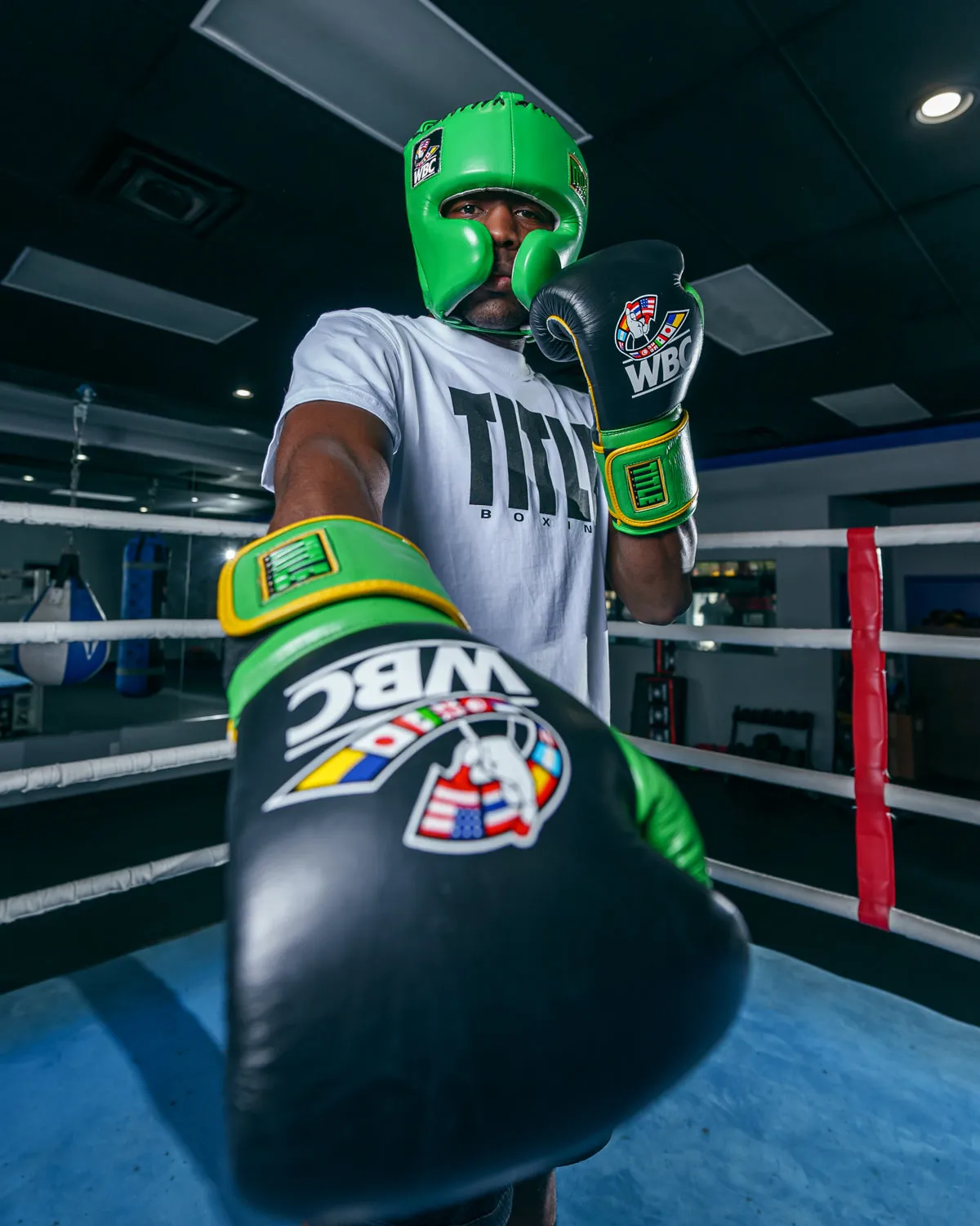 WBC by TITLE Boxing Training Gloves