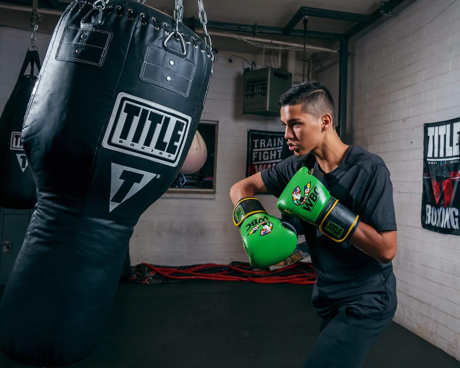 WBC by TITLE Boxing Training Gloves