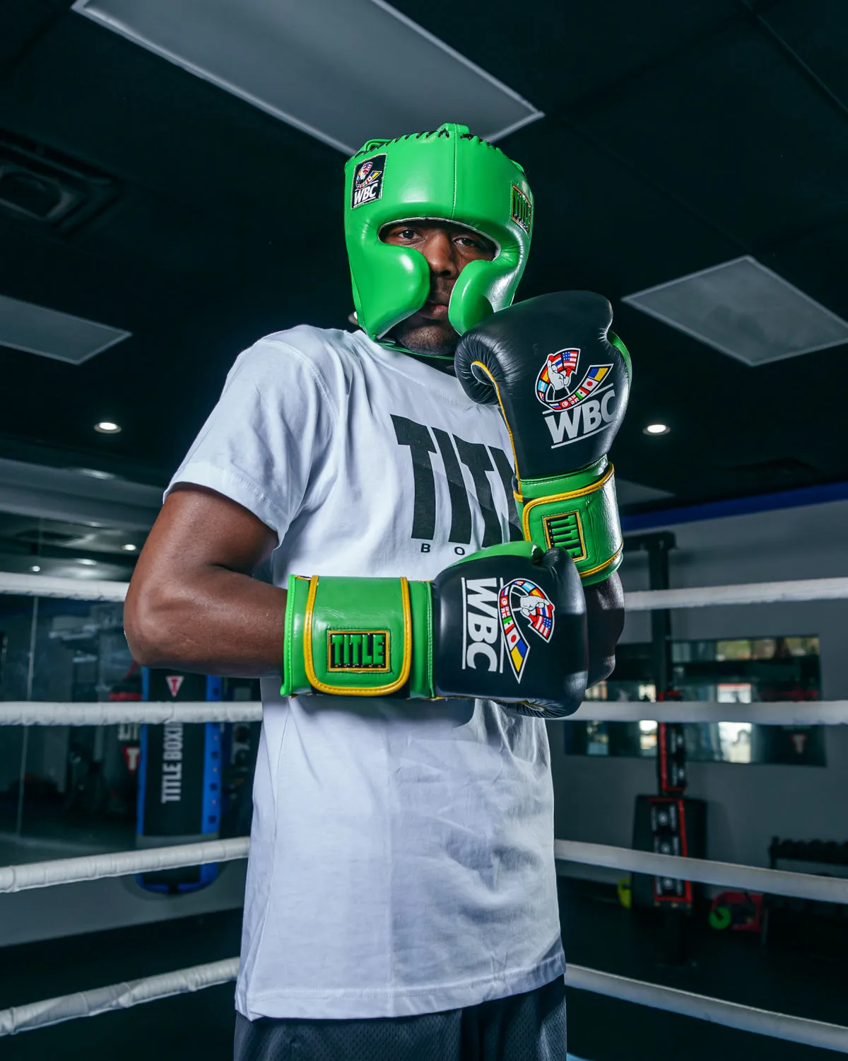 WBC by TITLE Boxing Training Gloves